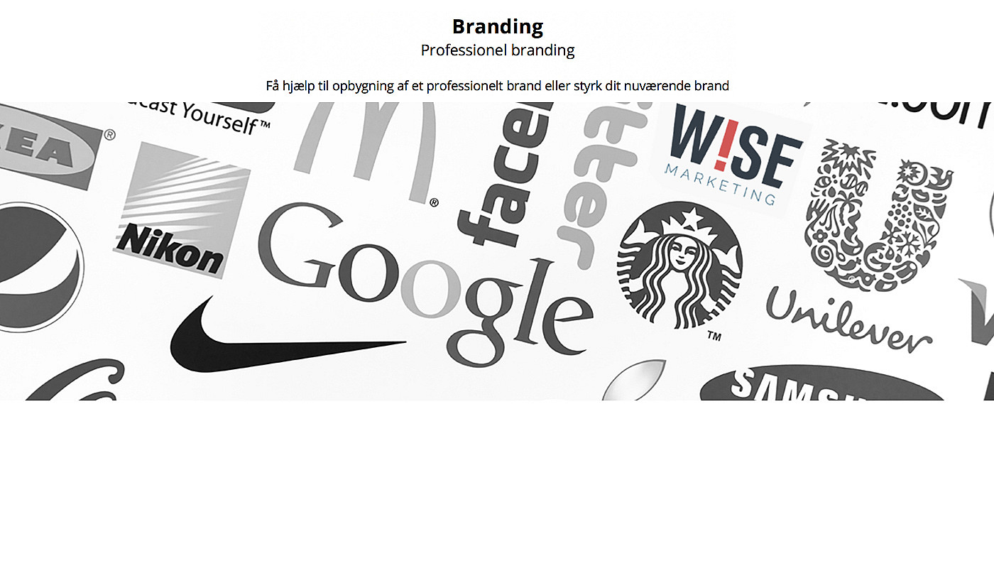 4 - Wise marketing_Branding