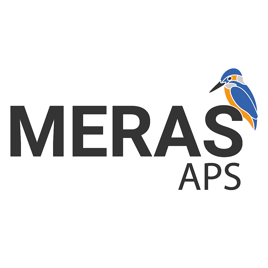 Meras APS kingfisher on text